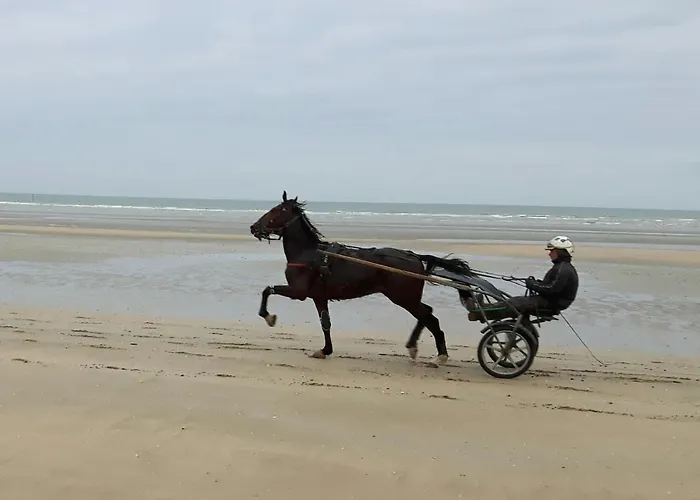 D'hotes Et Table D'hotes- Valentine 44 Frühstückspension Sainte-Mère-Église